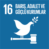 SKA 16 - Barış, Adalet ve Güçlü Kurumlar