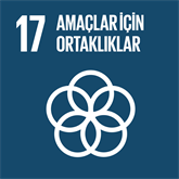 SKA 17 - Amaçlar için Ortaklıklar